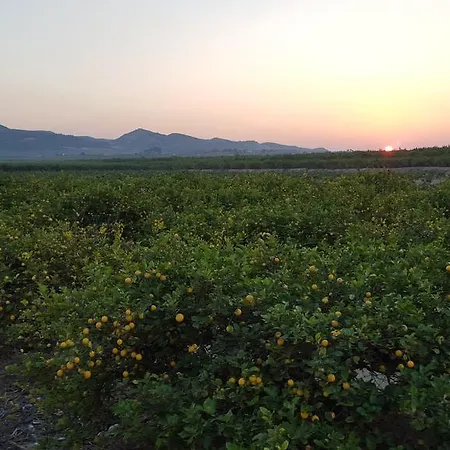 Casa Veran At La Finca Golf Holiday home